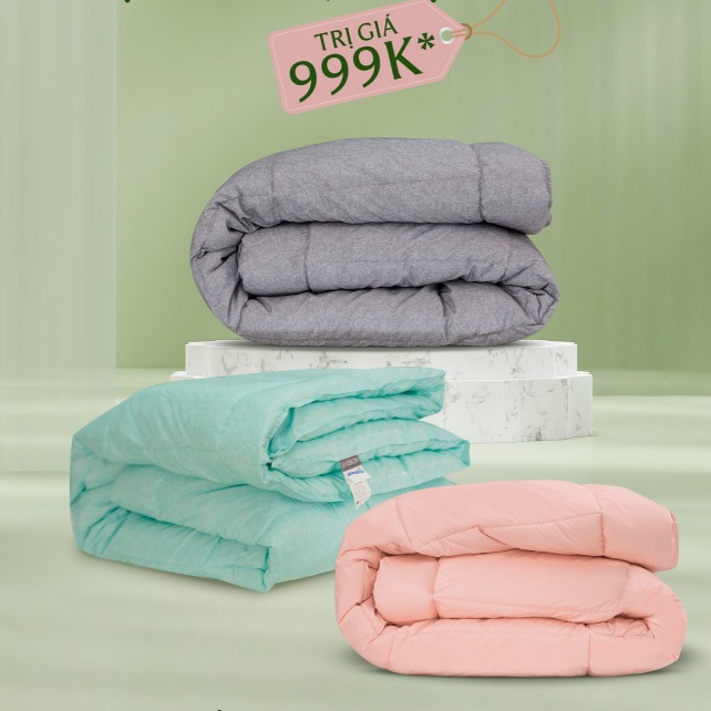 (GIAO MÀU NGẪU NHIÊN) Ruột chăn Everon 5s