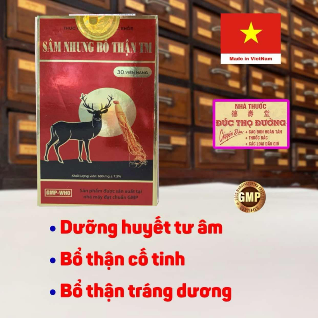 Sâm Nhung Bổ Thận TM - bổ thận đau lưng tiểu đêm