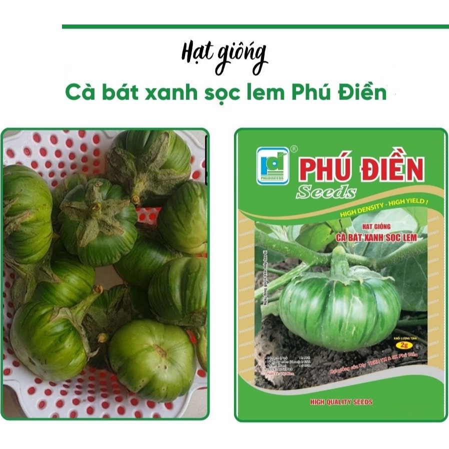 Hạt giống Cà Bát Xanh Sọc Lem_Cà Tròn To Da Ếch cao sản Phú Điền