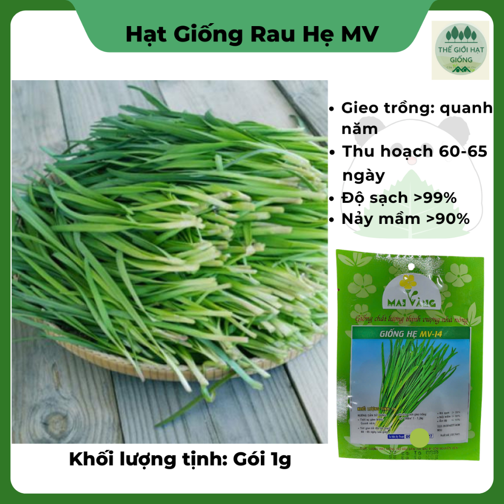 [gói 1g] Hạt giống hẹ lá