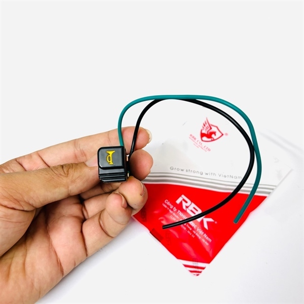 Công tắc Còi Dream hãng RBK ( T1D331 )