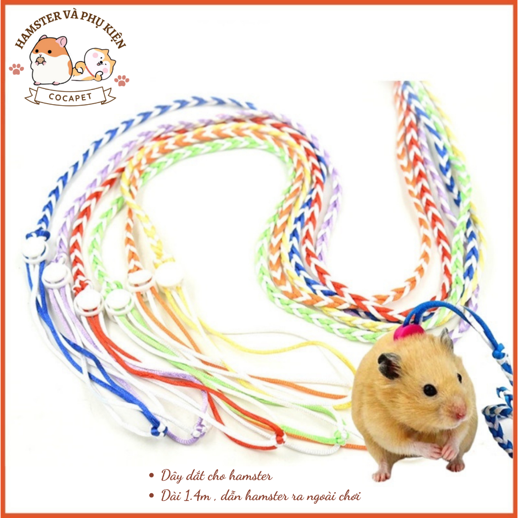 Dây dắt hamster