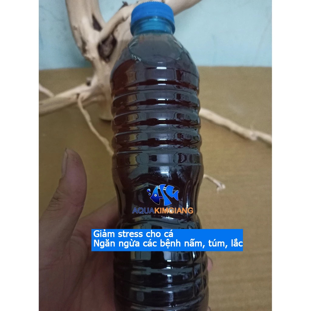 Nước cốt lá bàng khô Giảm Stres, ngăn ngừa nấm, túm lắc cho cá