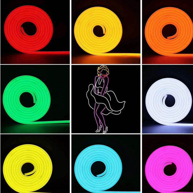 Đèn Led neon 12v