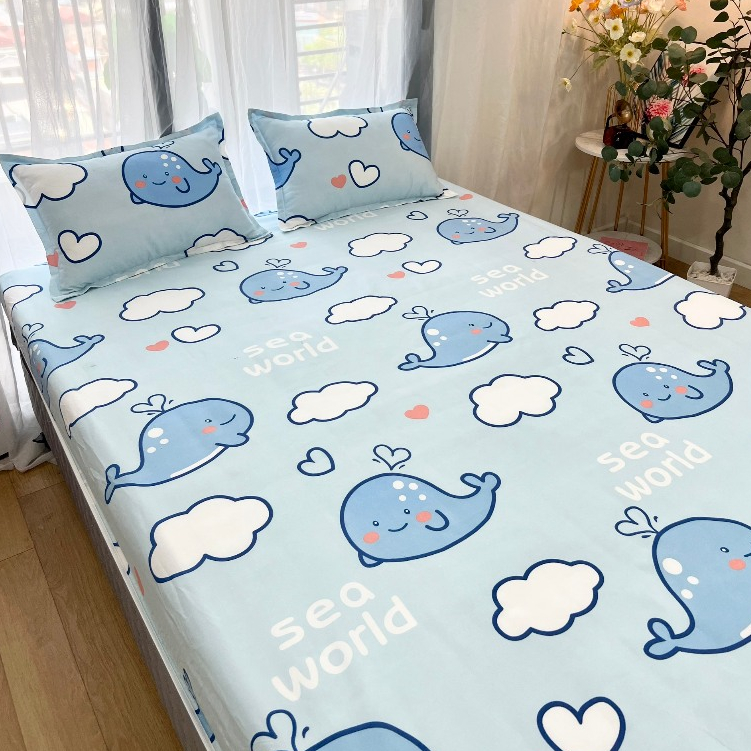 Bộ ga giường cotton poly 3 món nhiều mẫu lựa chọn ga bo chun
