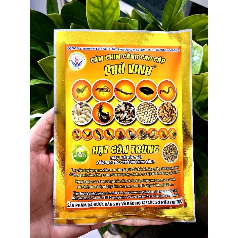 HẠT CÔN TRÙNG CĂNG LỬA PHÚ VINH