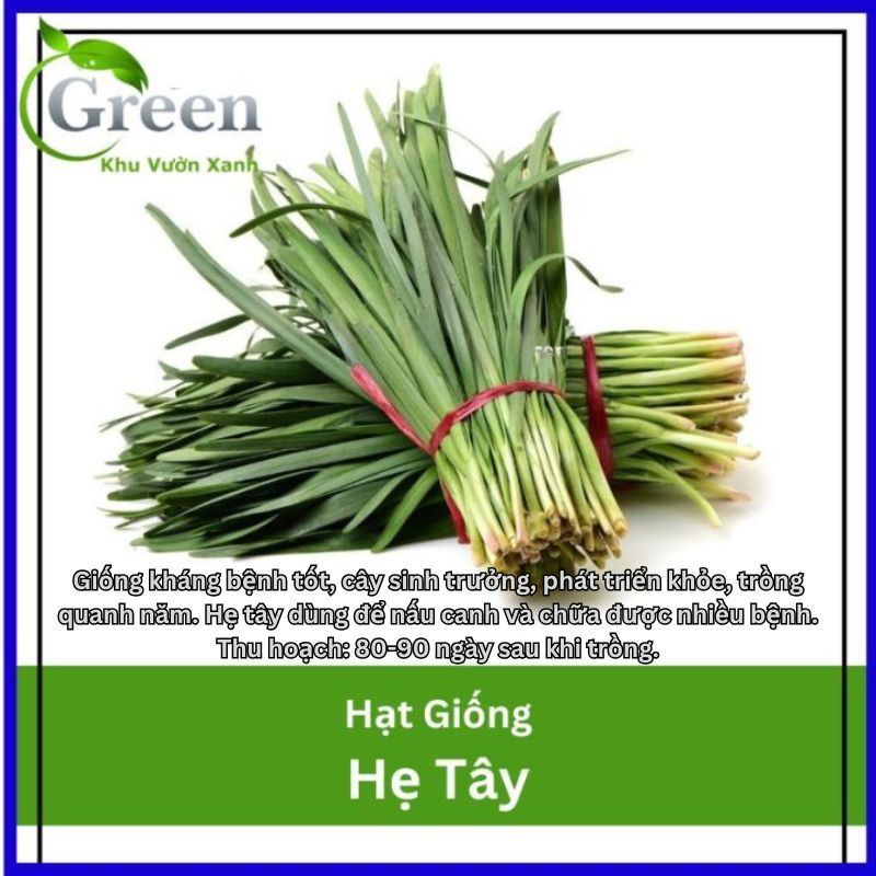 Hạt Giống Hẹ Tây Dễ Trồng Quanh Năm, Sinh Trưởng Khỏe (Gói 1 gam ~ 200 hạt)