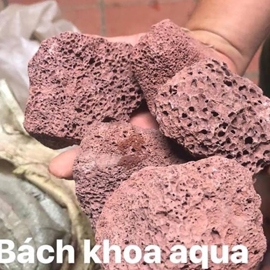 Đá nham lọc đại – vật liệu lọc nước bể cá cảnh, kích thước lớn, lọc ngoài, lọc tràn, lọc thác