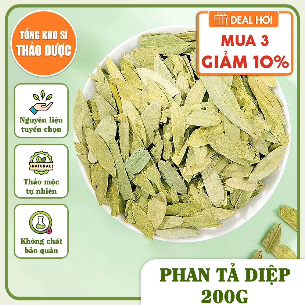 Phan tả diệp 200g, lá phan tả, không vụn, xanh đẹp, không lẫn tạp chất - Tổng Kho Sỉ Thảo Dược