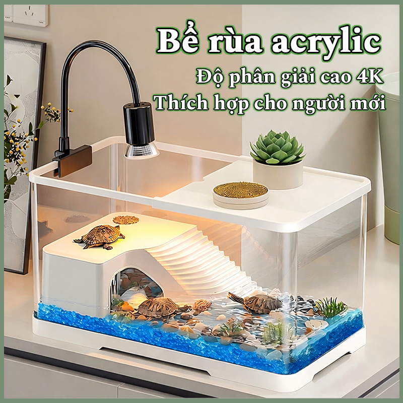Bể cá rùa, Bộ môi trường sống bể bò sát, Bộ khởi động bể rùa acrylic với khu vực đa chức năng