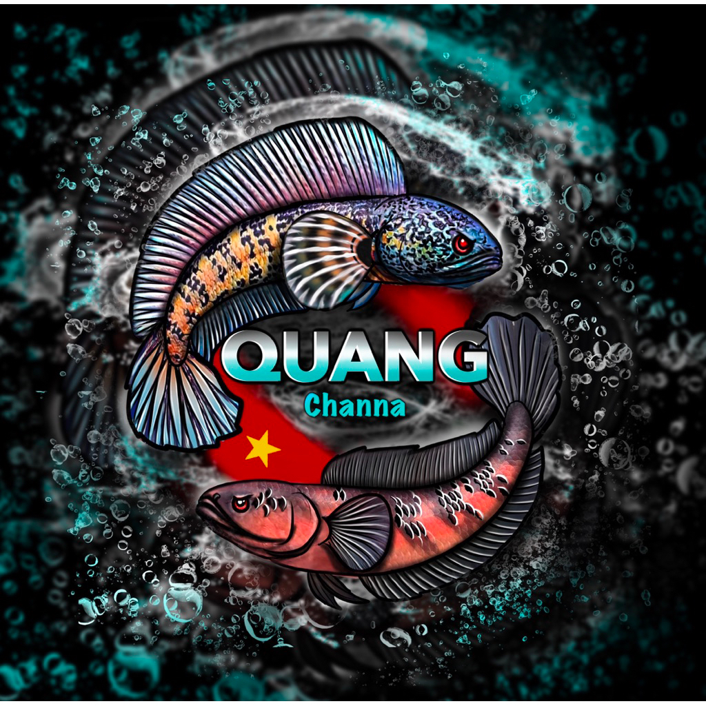logo Lóc Cảnh QUANG Channa nhiều dòng & size (Không giao miền Bắc)