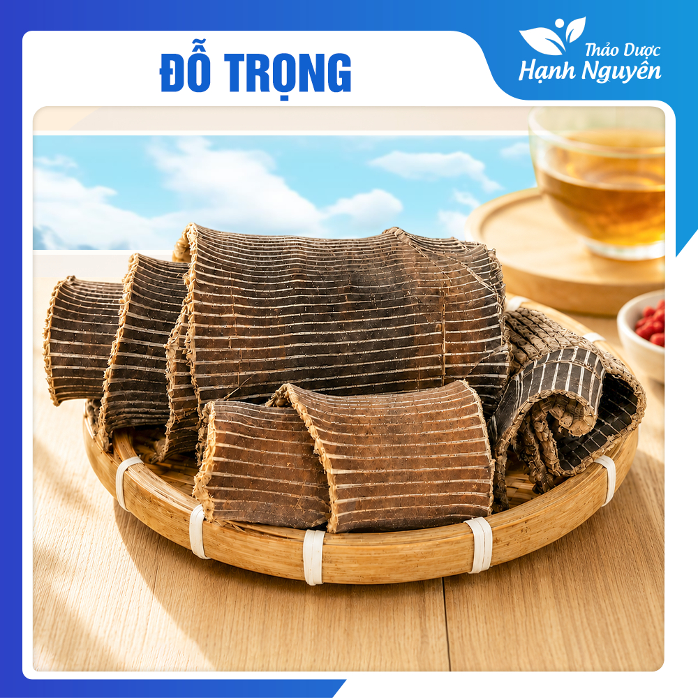 Đỗ trọng bắc khô 100g, miếng to, đẹp, dập sợi đều dẹt - Thảo Dược Hạnh Nguyên