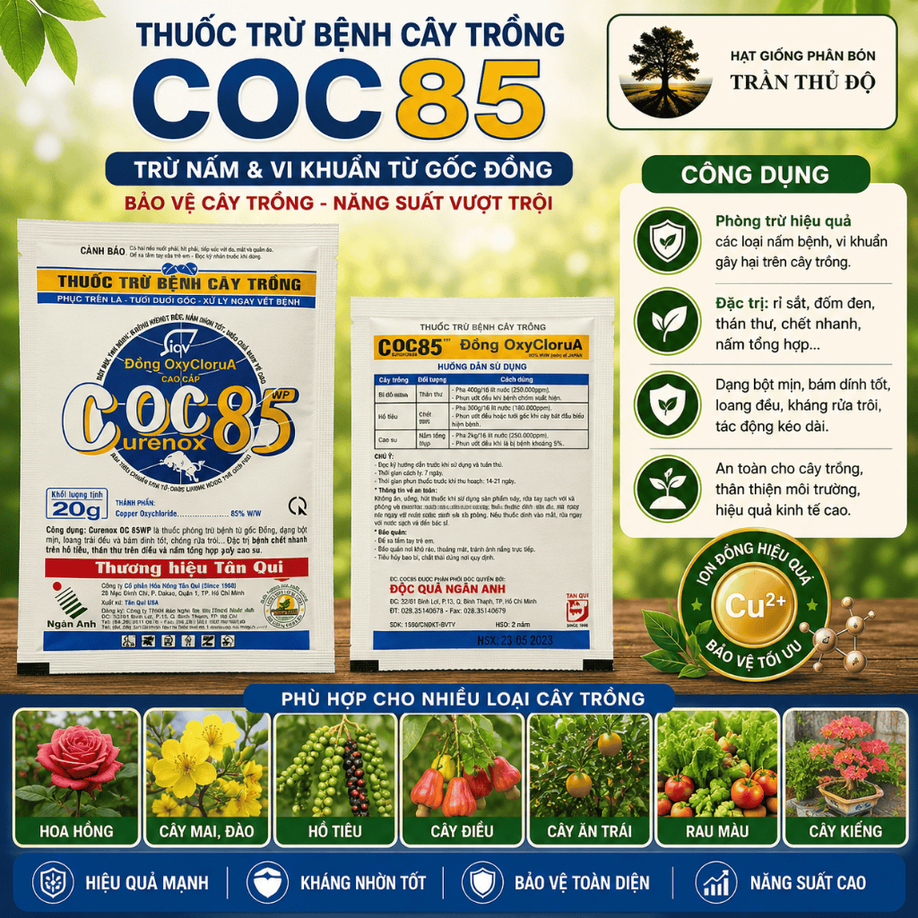 TRỪ BỆNH DIỆT KHUẨN CHO CÂY TRỒNG COC85