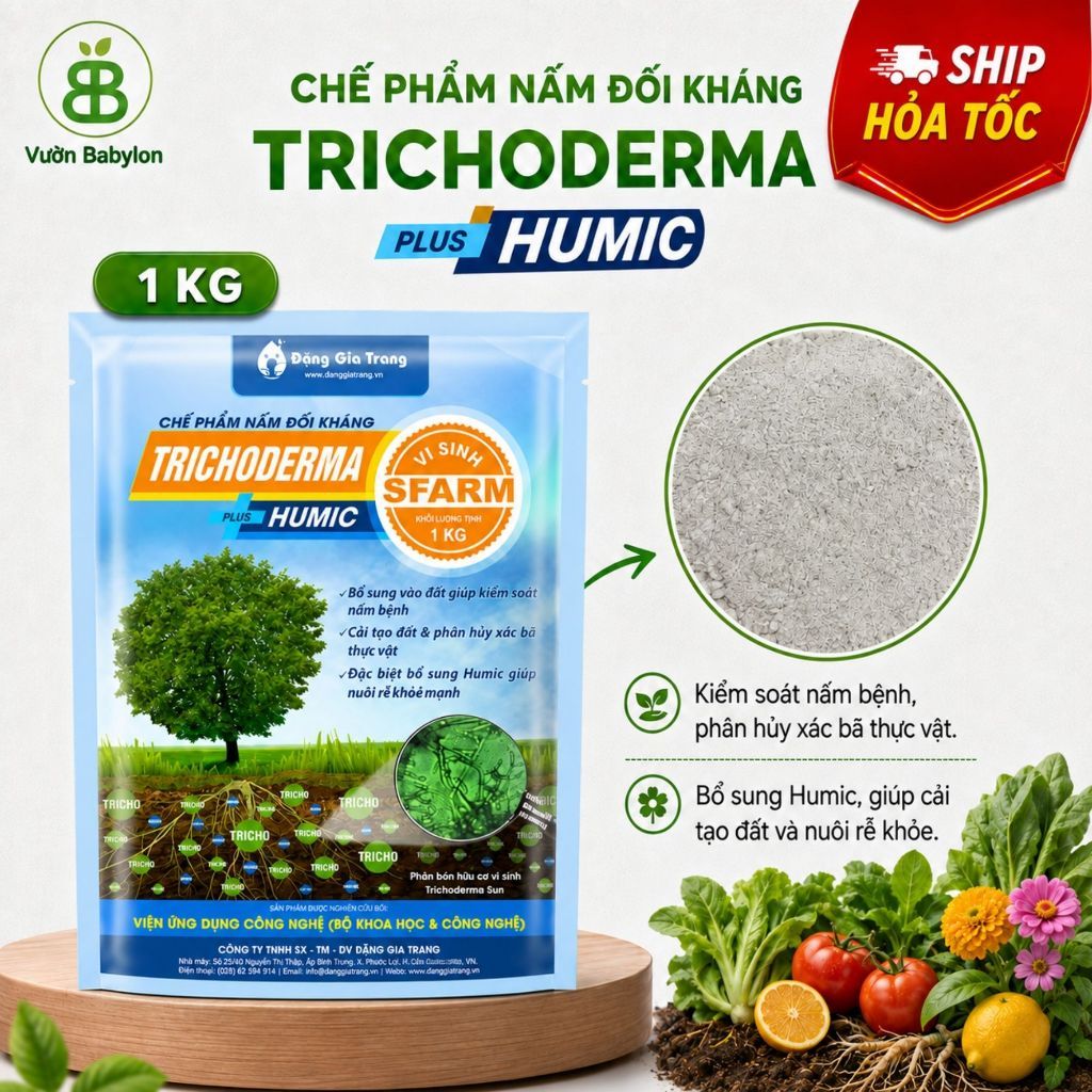 Nấm Đối Kháng Trichoderma Chất Lượng Cao 1kg - Trichoderma Sfram và Trichoderma Điền Trang