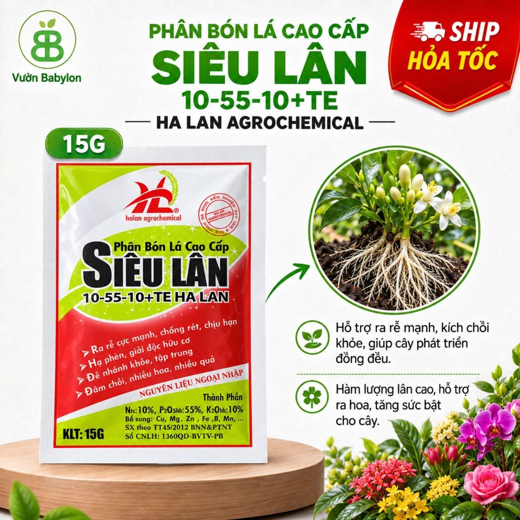 Phân Bón Siêu Lân Đỏ Hà Lan 10-55-10 + TE Vuonbabylon, Giúp cây ra hoa đồng loạt, phát triển đều đẹp - Gói 15gram