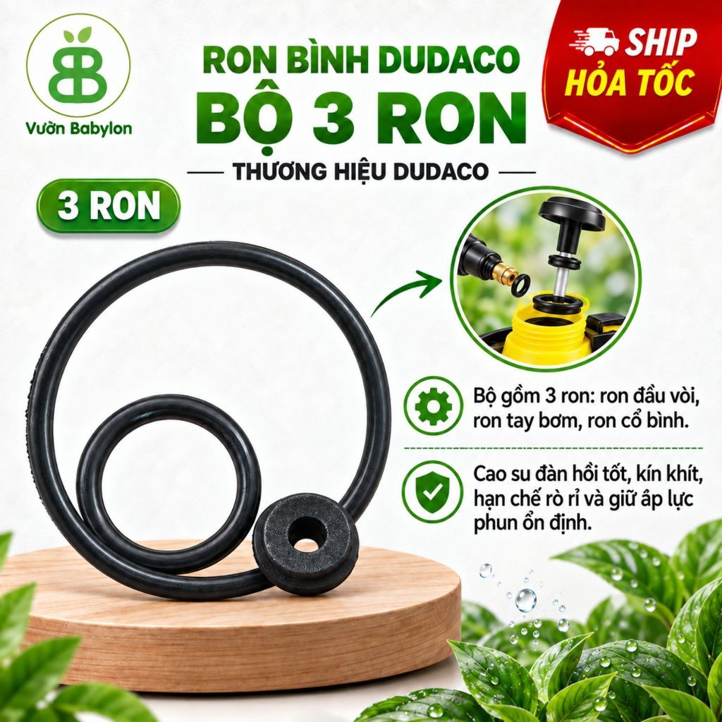 Bộ 3 Ron Bình Dudaco, Dễ Lắp Ráp,Phù Hợp Cho Bình 2,4,6,8,16 Lít - Set 3 Cái Ron