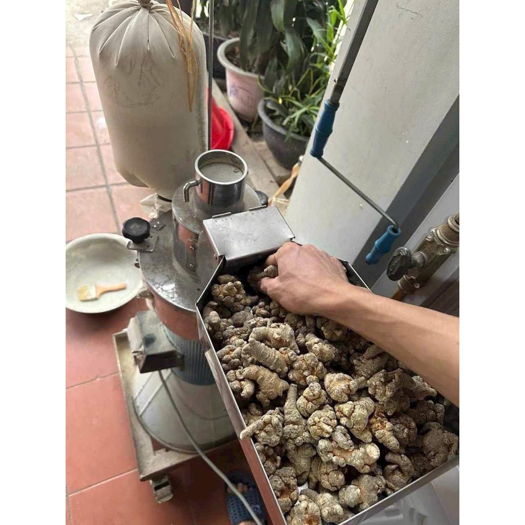 Bột tam thất bắc 5 củ 1lang
