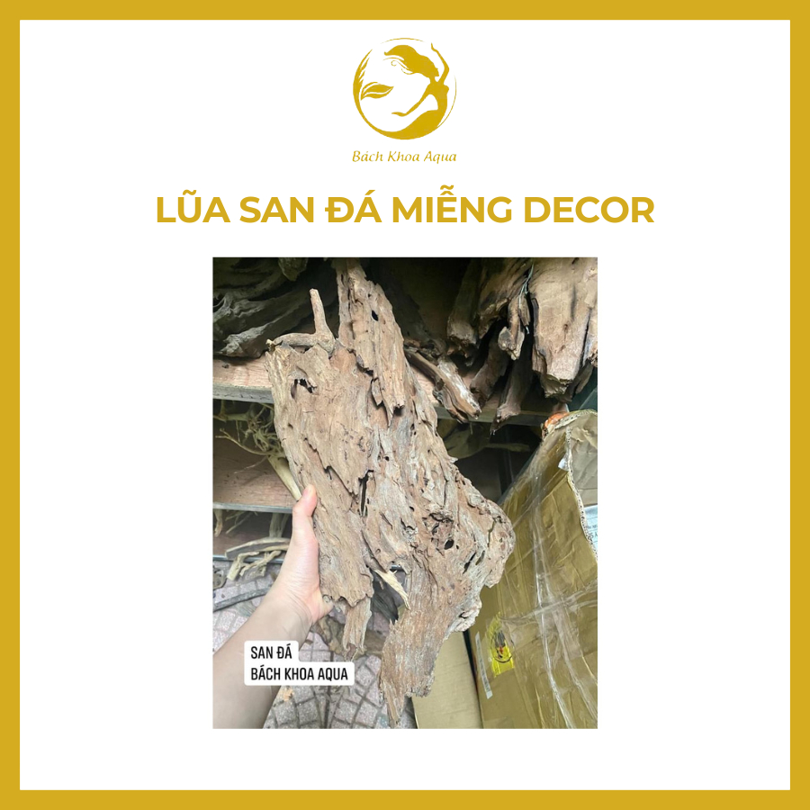 Lũa san đá miếng và cành sử dụng cho setup