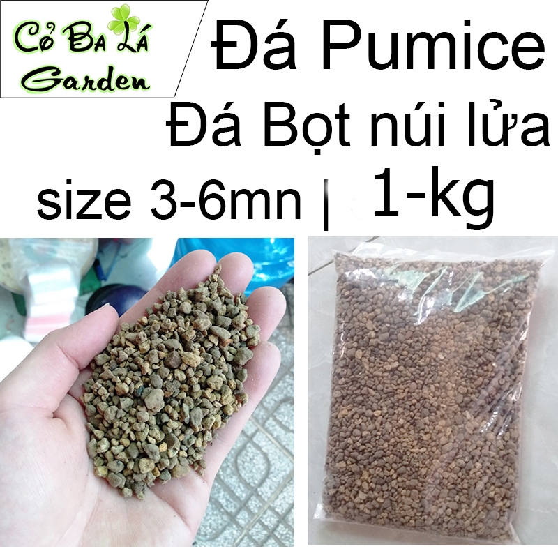 Đá Pumice-Đá Bọt núi lửa (1kg)