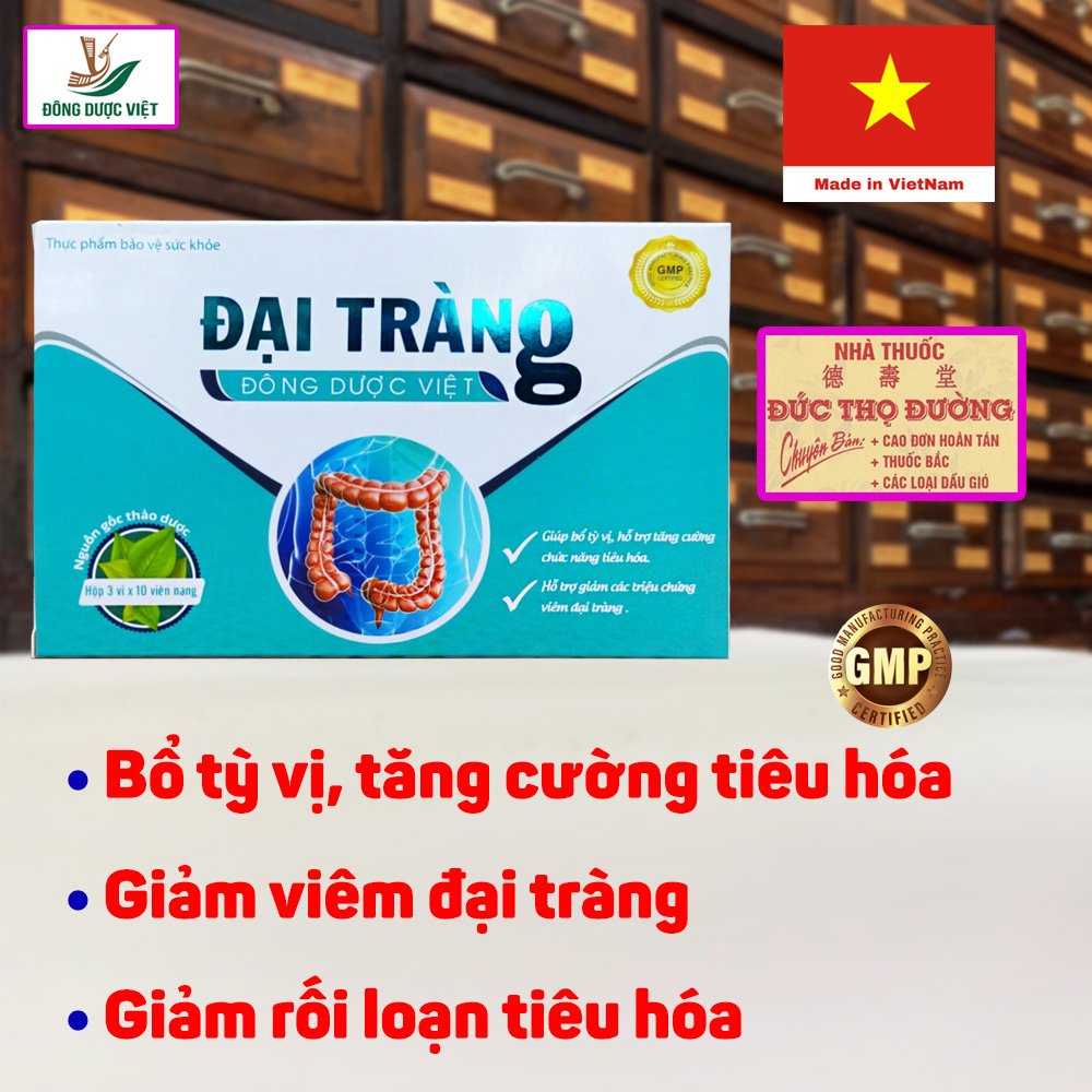 Đại tràng hoàn PH Phúc hưng - Đông Dược Việt
