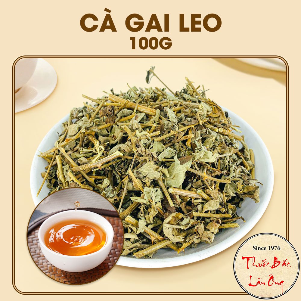 Cà gai leo 100g, khô, sạch, hỗ trợ giải độc, hạ men gan, mát gan, thanh nhiệt, giảm mụn nhọt