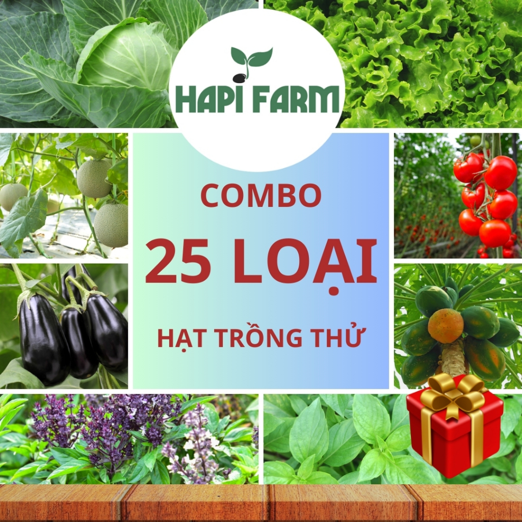 COMBO LỘC XUÂN - Combo 25 Loại Hạt Giống Rau Củ Quả Trồng Thử