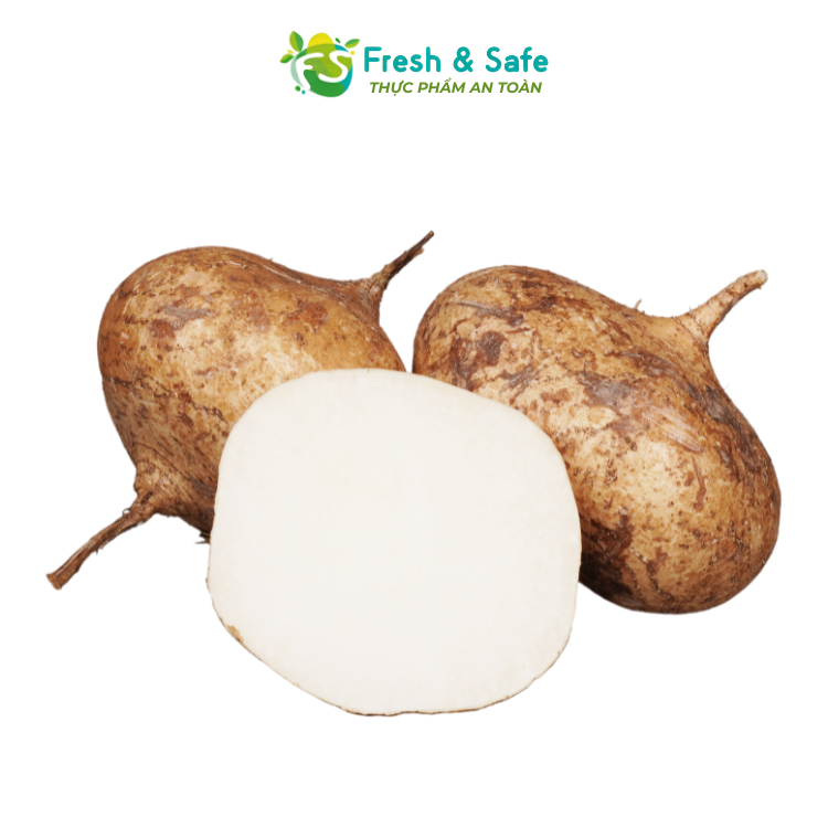 [Chỉ Giao HCM] Củ Sắn/Củ Đậu - 1kg