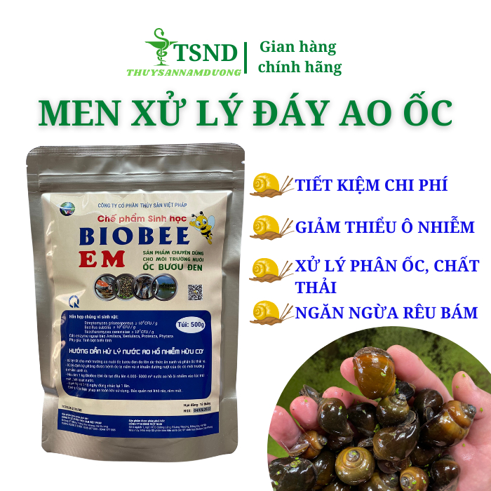 Men vi sinh BIOEM xử lý nước và đáy ao nuôi ốc nhồi, ốc bươu đen