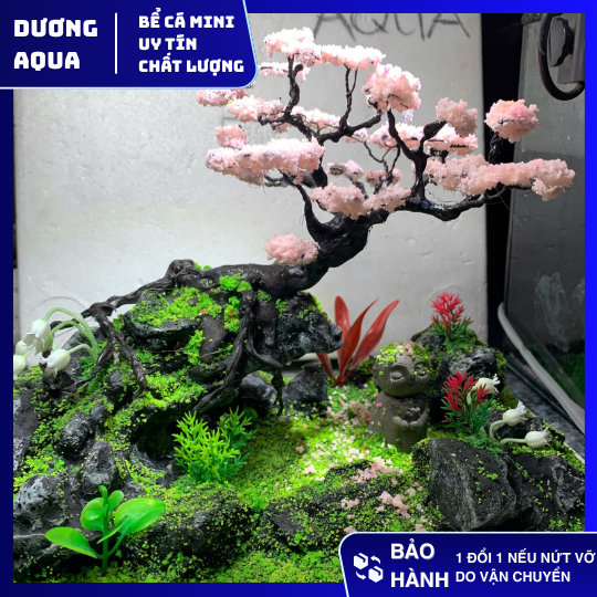Layout Bể Cá Kích Thước Dài 29cm, Rộng 16cm, Cao 18cm