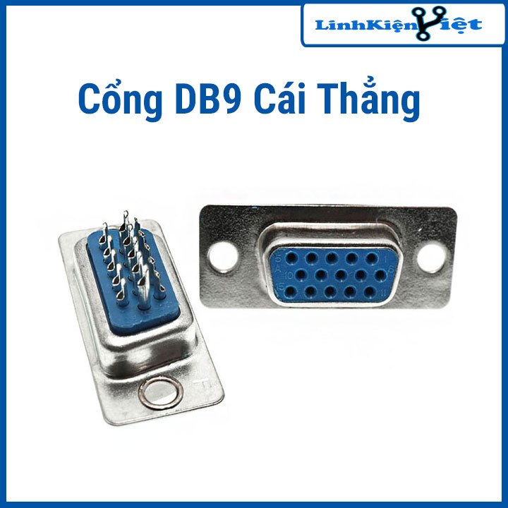 Cổng DB9 Cái Thẳng