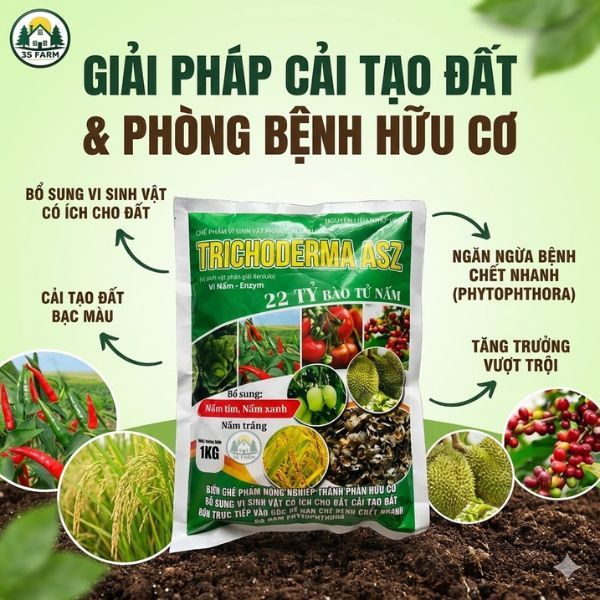 [1KG] Nấm Trichoderma - Chế Phẩm Sinh Học Men Vi Sinh Dùng Ủ Phân - Xử Lý Đất