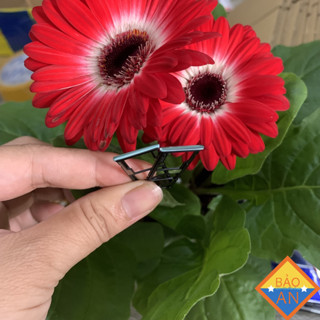 Khay sim xiaomi redmi note 10