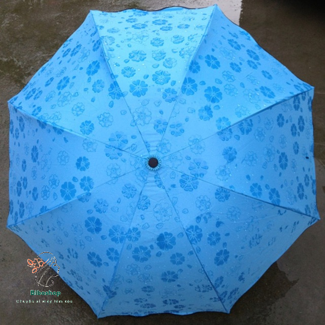 Ô gặp nước nở hoa