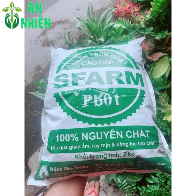 Phân Trùn Quế 2kg