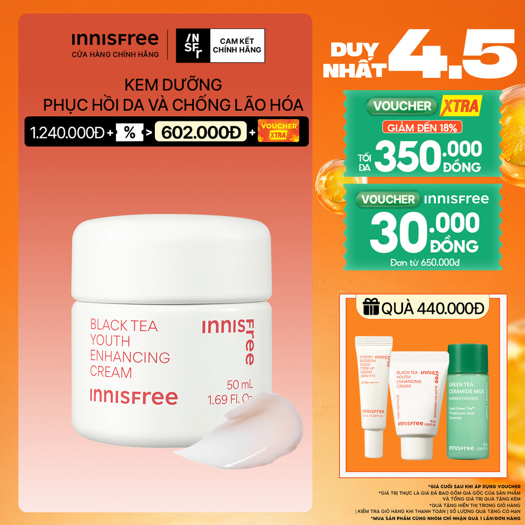Kem dưỡng da ban đêm ngăn ngừa lão hóa từ trà đen innisfree Black Tea Enhancing Cream 50 mL
