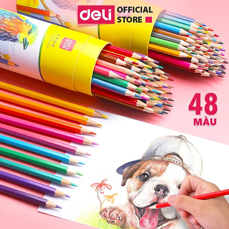 [TOP1 GIÁ SỈ] Bút Chì Màu Gốc Dầu Dạng Cốc/Lon Deli - 12/24/36/48 Màu Sắc Tươi Sáng Không Dễ Gãy Màu Chì Học Sinh Tô Màu