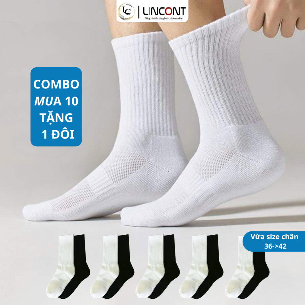 [COMBO 10 + TẶNG 1 ĐÔI] Tất Vớ Cổ Cao Dệt Kim Nam Nữ trắng-đen-xám Trơn (20cm) Cotton thoáng khí