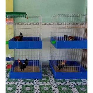lồng gà đủ kick thước