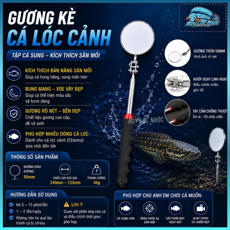 Gương Kè Cá Lóc Cảnh - Kích Thích Sung Mãn, Tăng Bản Năng Săn Mồi, Hỗ Trợ Tập Cá Hiệu Quả