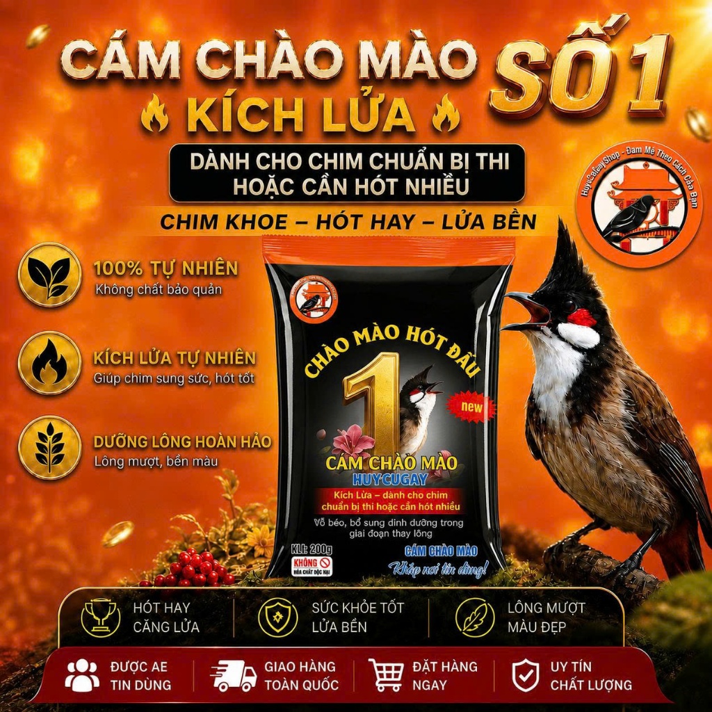 Cám chim chào mào Kích lửa, chuẩn bị thi ,hót nhiều, dàn cafe, giá rẻ 200g