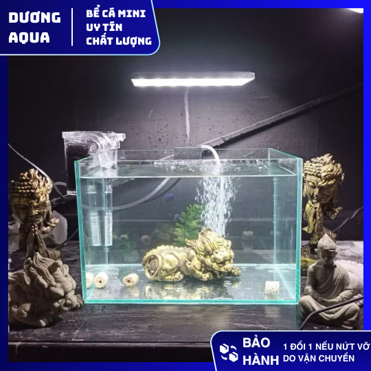 Bể Cá Mini 30x20x20 Giấu Keo Mài Cạnh Siêu Đẹp, Kính Dày Dặn An Toàn