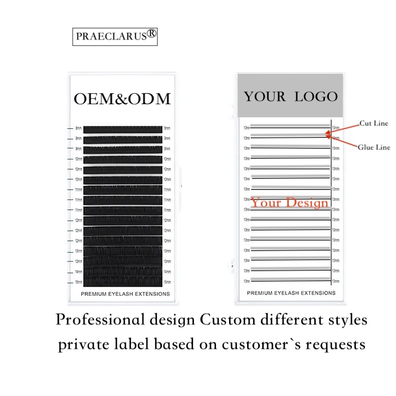 Set 50 Lông Mi Giả 6D Cong Dày Tự Nhiên Mềm Mại 0.07mm Lông Mi Giả Nối Dài Bằng Lông Chồn Mềm Mại Màu Sắc Tự Nhiên Tùy Chỉnh Nhãn Hiệu PRAECLARUS