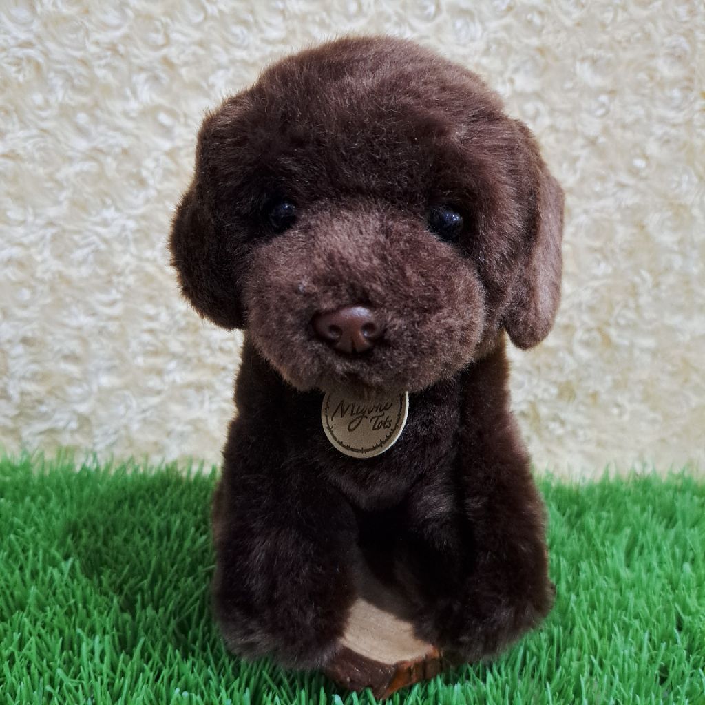 Búp bê chó nâu sẫm ngồi Doggy Doll Miyorii Vòng cổ cứng mắt Doggy Doll
