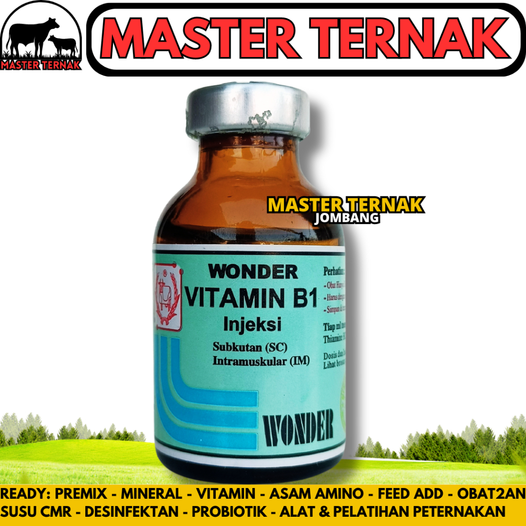 VITAMIN B1 WONDER 20ML - Vitamin B1 dành cho động vật - Động vật Vitamin B1