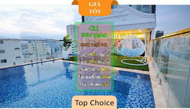 ALPHA BIRD NHA TRANG