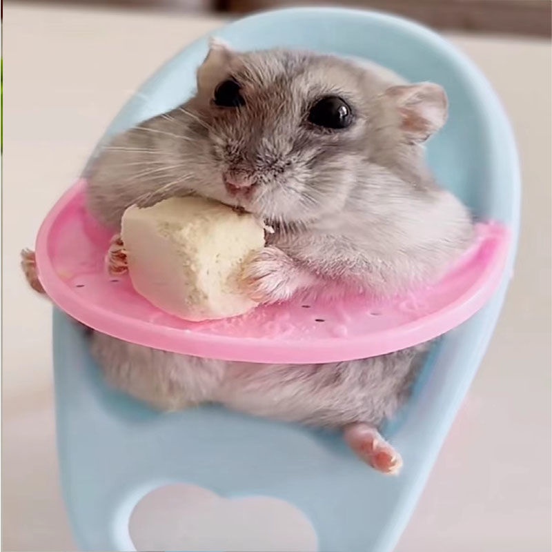 Bàn Ghế Ăn Tạm Thời Cho Chuột Hamster / Bàn Ăn Tạm Thời Hình Gấu Vàng Dễ Thương Cùng Phong Cách A +