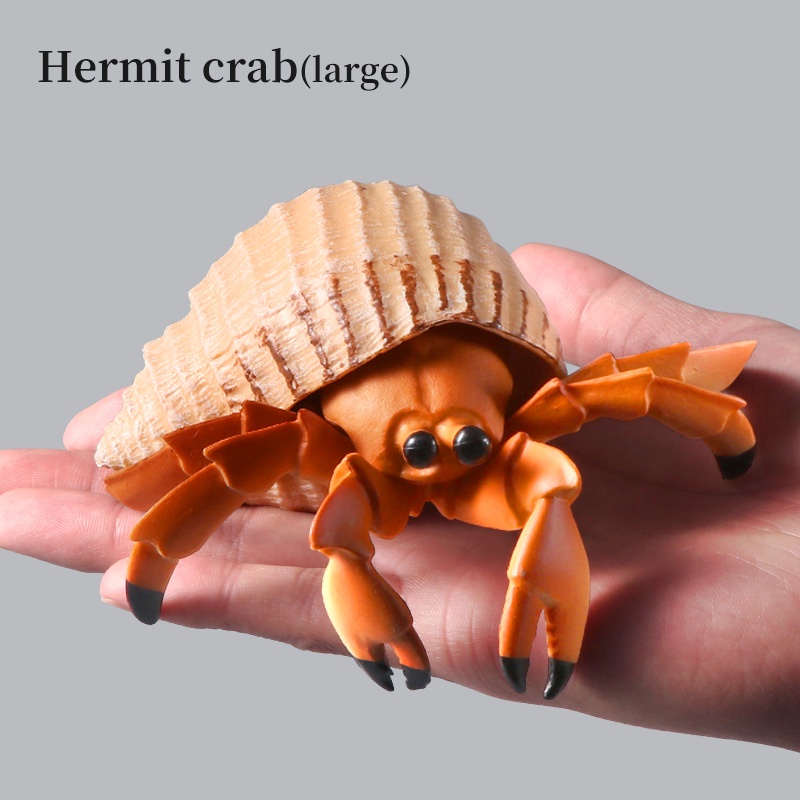 Mô Hình Đồ Chơi Chú Cua Biển Độc Đáo Cho Bé