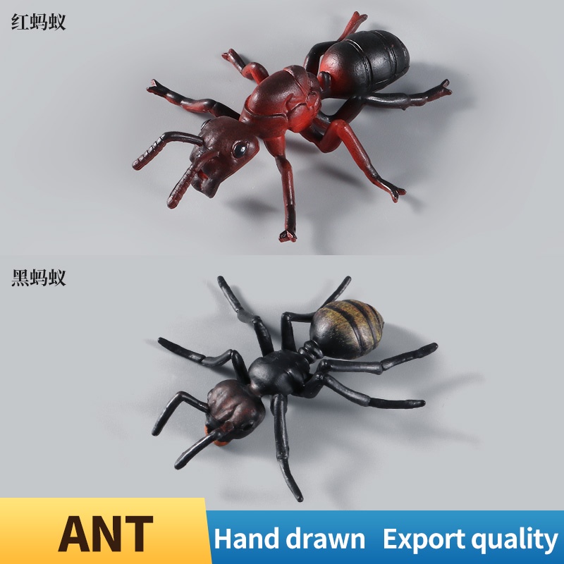 Đồ Chơi Mô Hình Côn Trùng Bằng Nhựa Độc Đáo Cho Trẻ Em