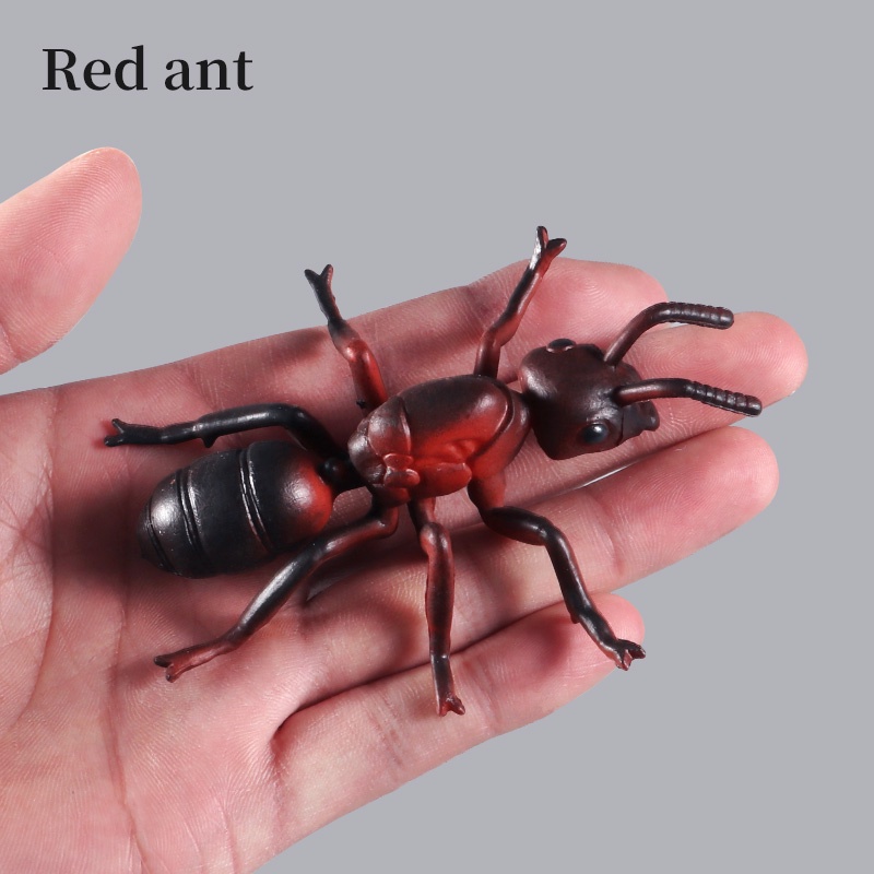 Đồ Chơi Mô Hình Côn Trùng Bằng Nhựa Độc Đáo Cho Trẻ Em