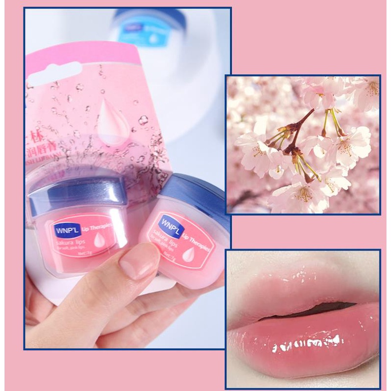 Set 6 Son Dưỡng Môi Cấp Ẩm Và Làm Mờ Đường Viền Môi Cho Nam Nữ